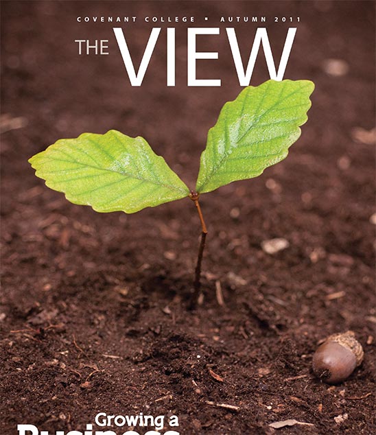 视图 magazine cover, 2011年秋 issue