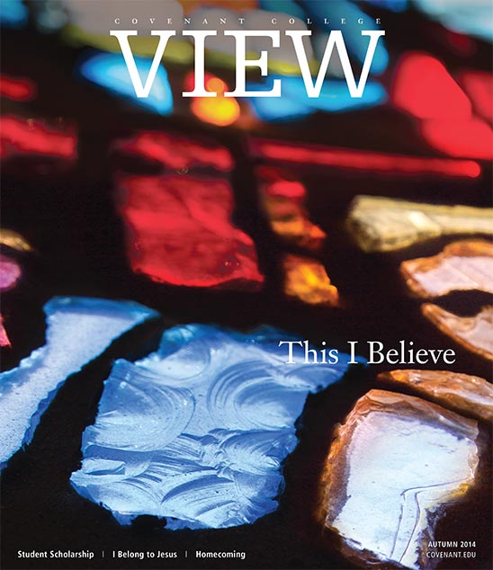 视图 magazine cover, 2014年秋 issue