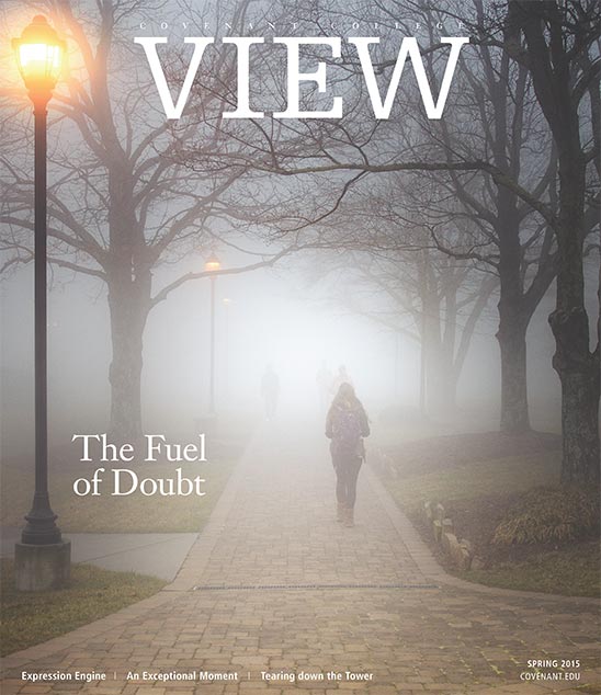 视图 magazine cover, 2015年春季 issue