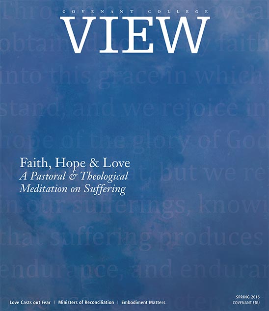 视图 magazine cover, 2016年春季 issue