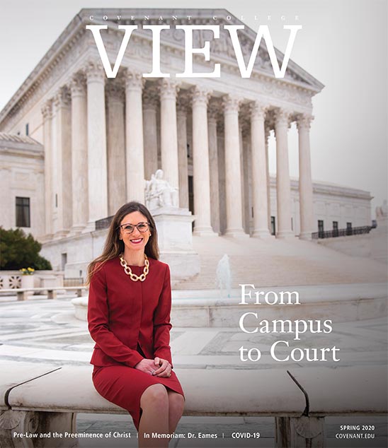 视图 2020年春季