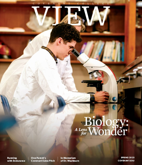 视图 2025年春季