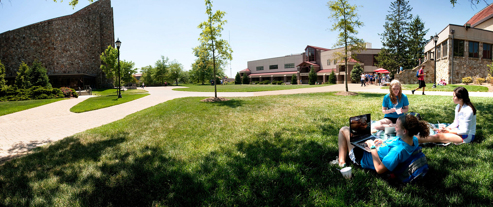 students studying on the lawn